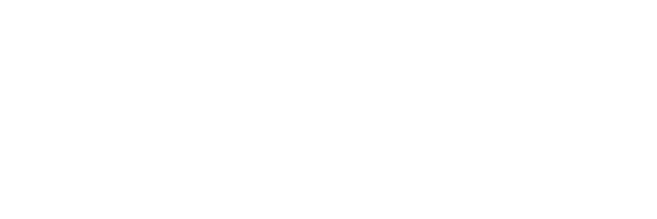 Amaris Consulting logo